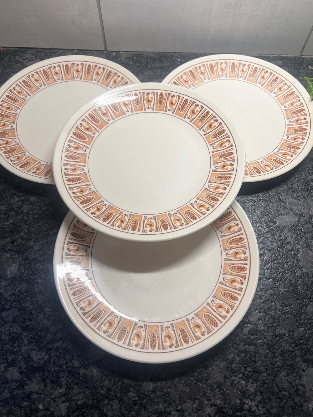 Vintage-Inspired CHICKEN AND RICE Orange Border Dinner Plates - Set of 4